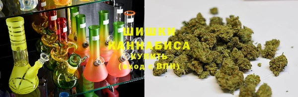 амф Бородино