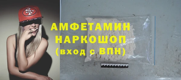 амф Бородино