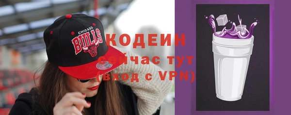 хмурый Богородицк