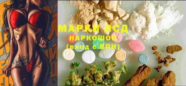амф Бородино