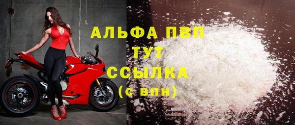 амф Бородино