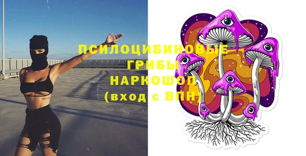 хмурый Богородицк