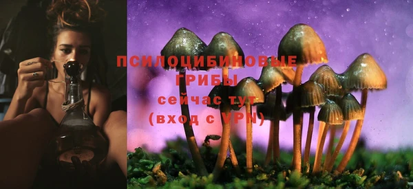 хмурый Богородицк