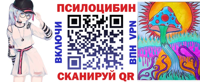 Галлюциногенные грибы Psilocybe  Купить  Енисейск 